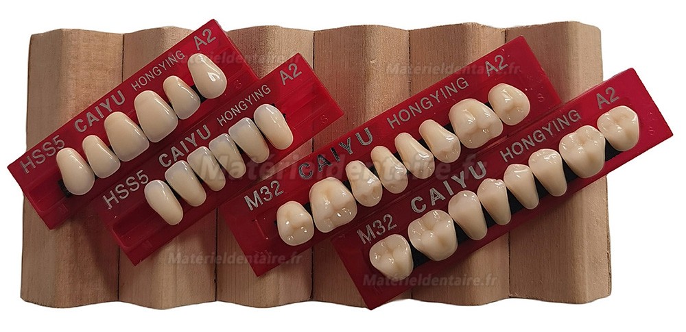 Prothèses dentaires en résine Caiyu Hongying (trois couches de couleur) A1/A2/A3/A3.5/A4